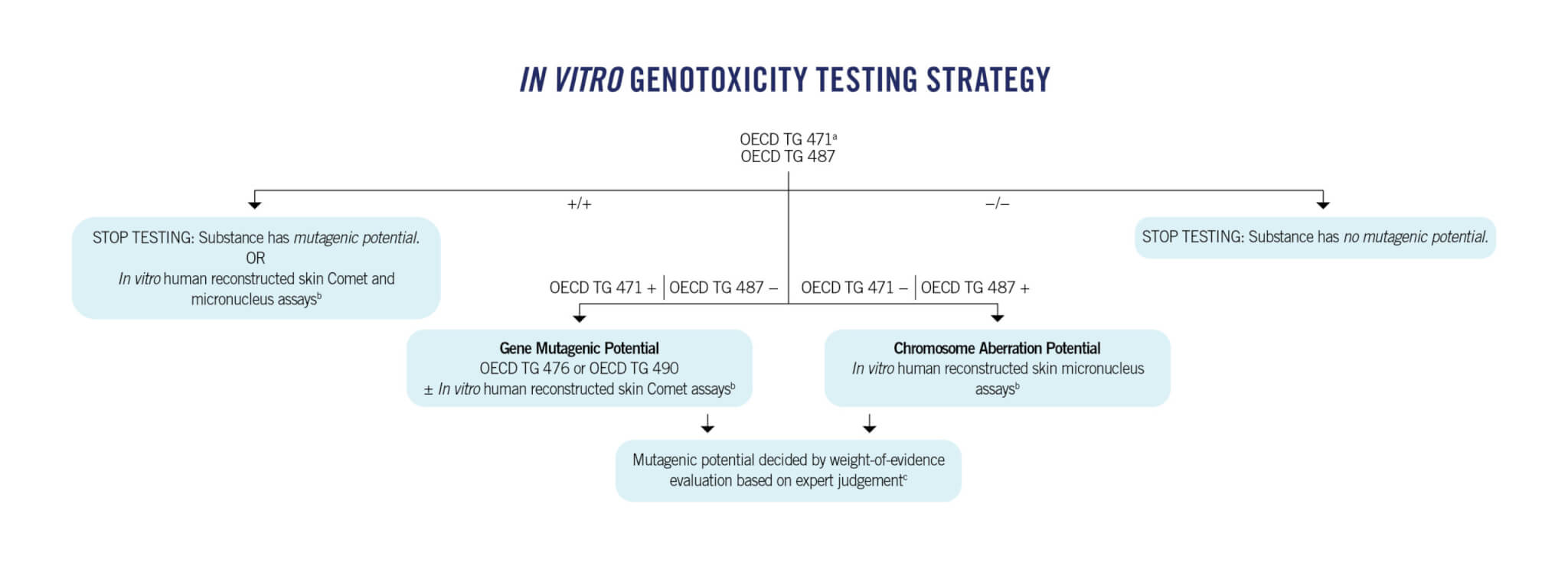 Genotoxicity Peta Science Consortium International E V