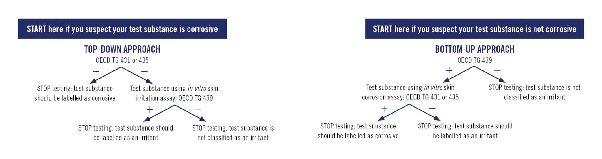 Skin Irritation PETA Science Consortium International E V 